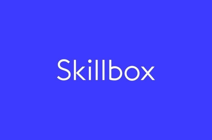 Обзор курса по дизайну в SkillBox: мой опыт бесплатного трехдневного обучения
