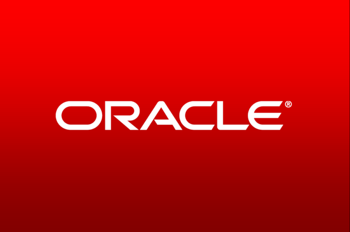 Oracle Corporation: История Успеха
